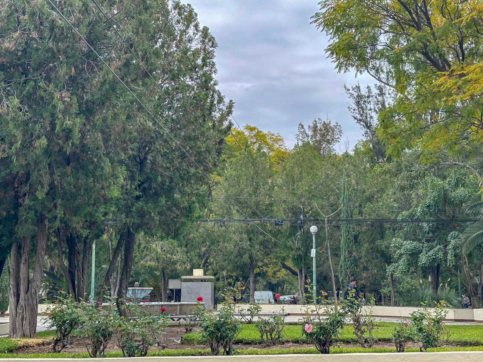 Estudio En Chapalita Estilo Y Confort Total 03 Гвадалахара Экстерьер фото